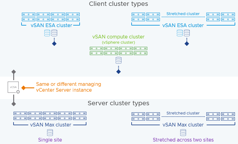 Multiple client cluster types and multiple vSAN Max cluster types